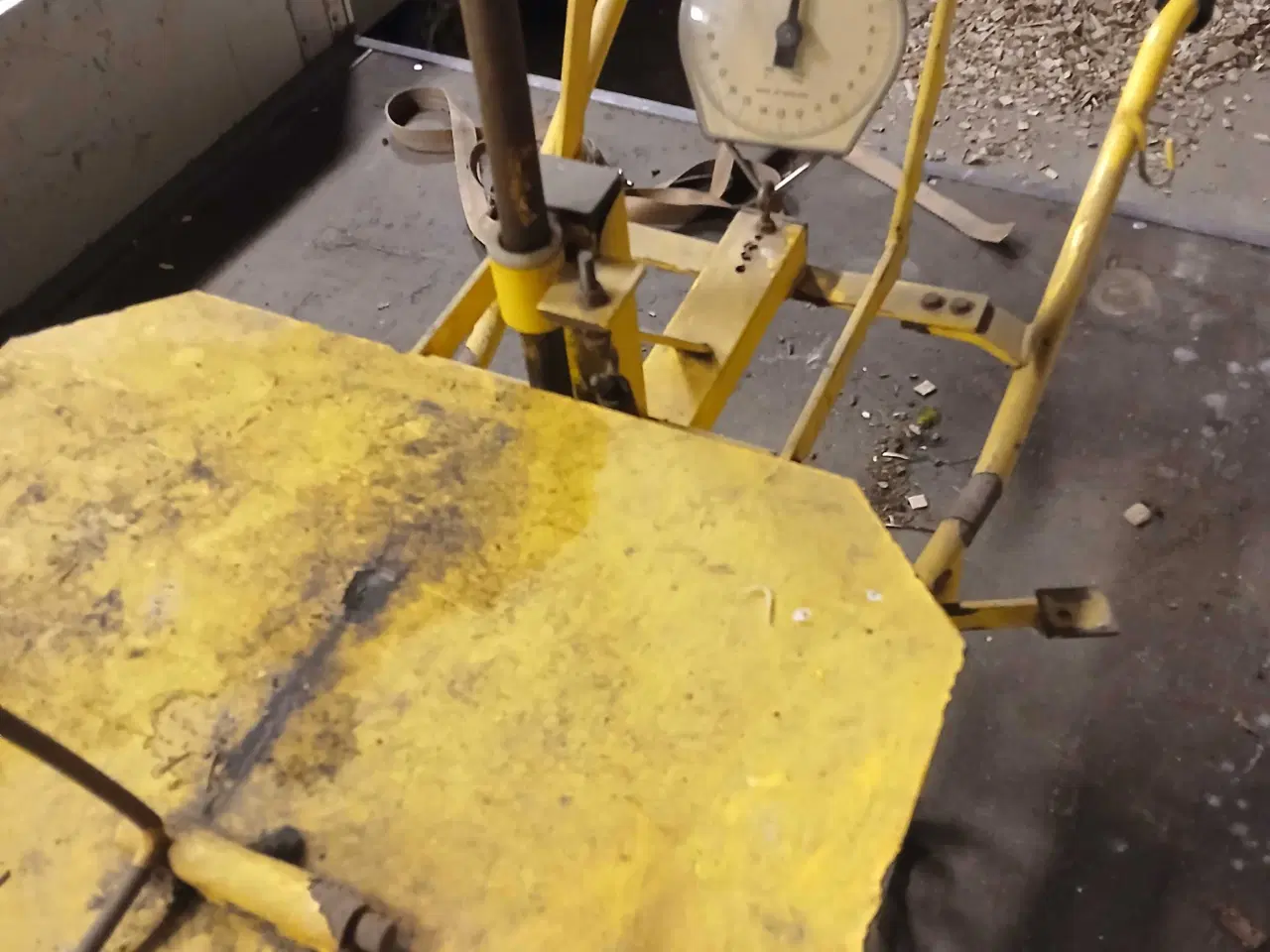 Billede 4 - Pyntegrønt s vægt