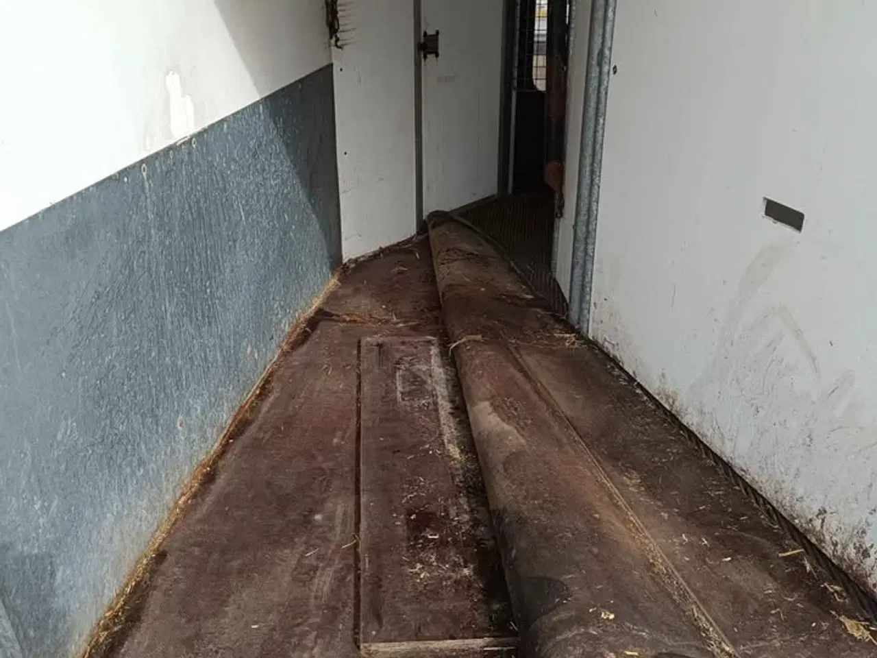 Billede 8 - 2.600 kg hestetrailer - Stærk svensk kvalitet