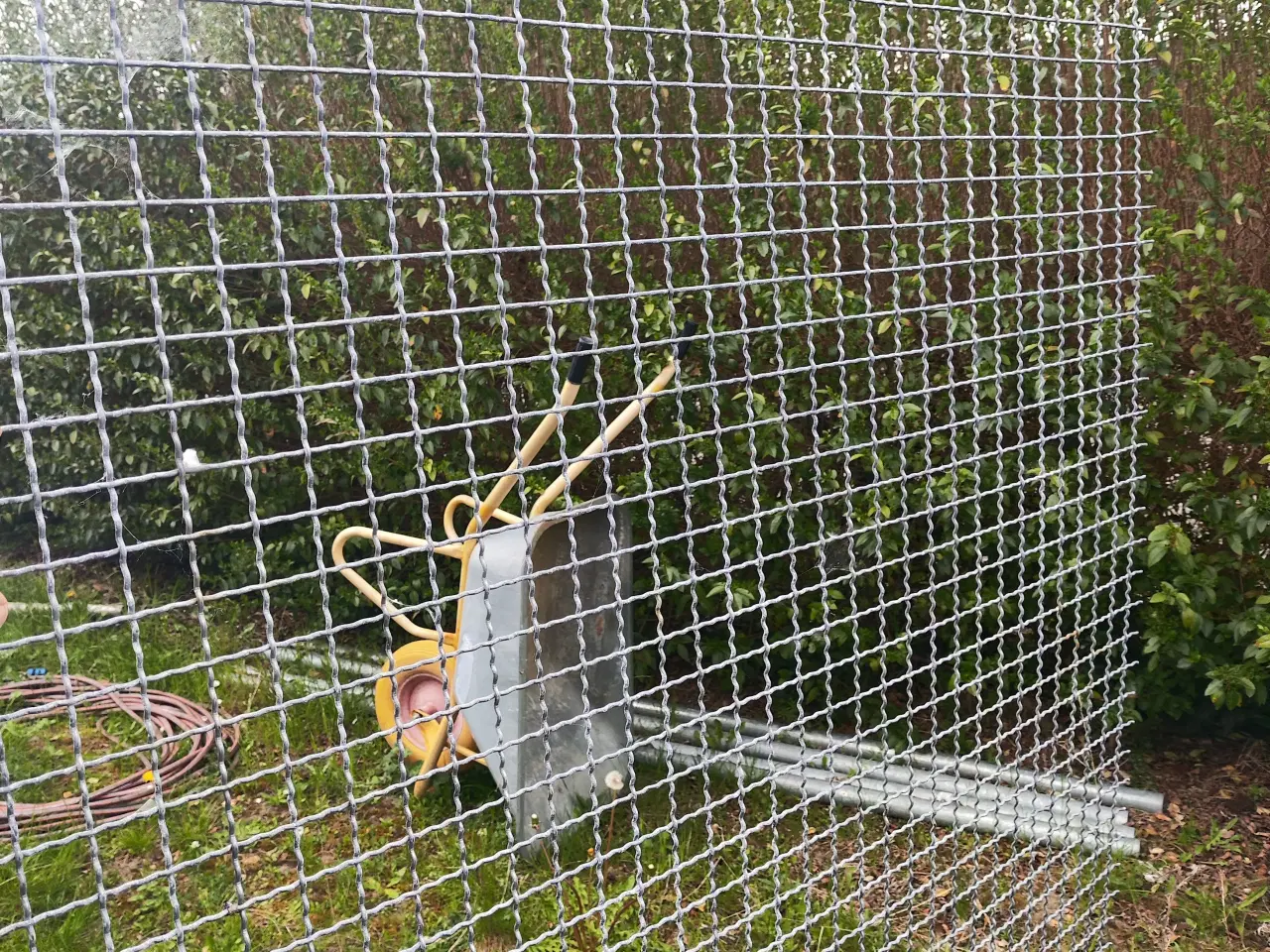 Billede 3 - Espalier, Galvaniseret trådnet til espalier