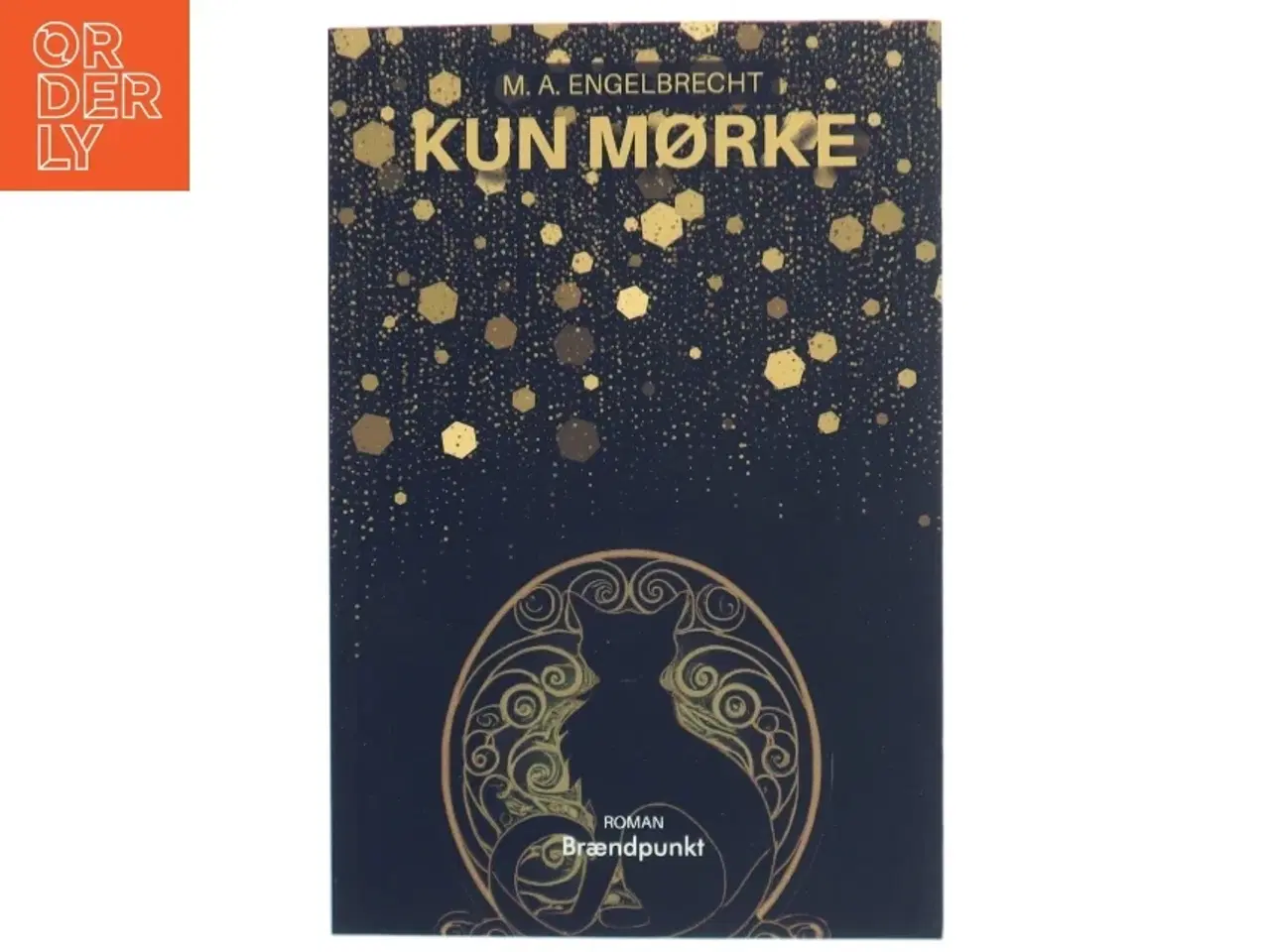 Billede 1 - Kun mørke : roman af M. A. Engelbrecht (f. 1993) (Bog)