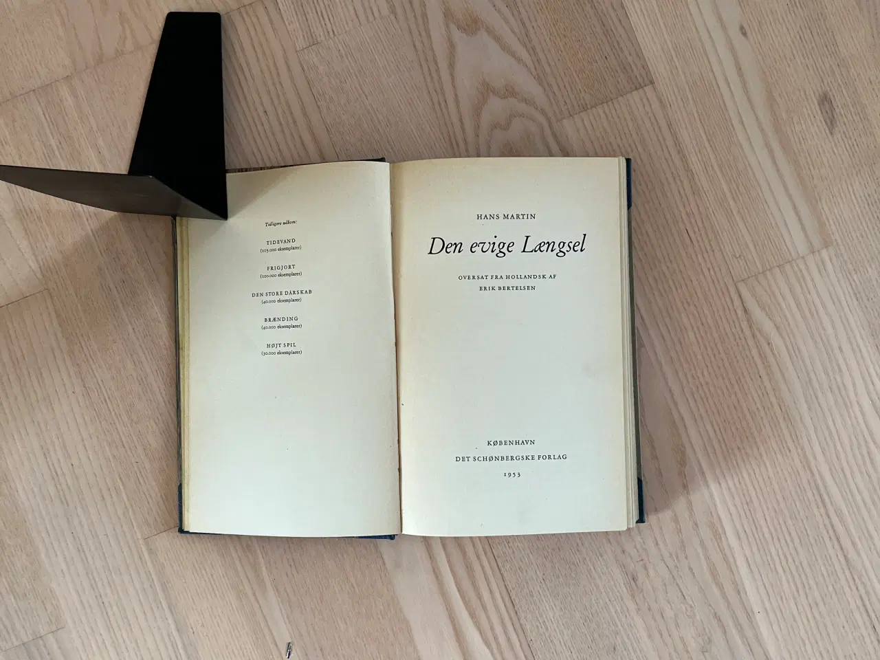 Billede 2 - Den evige Længsel af Hans Martin