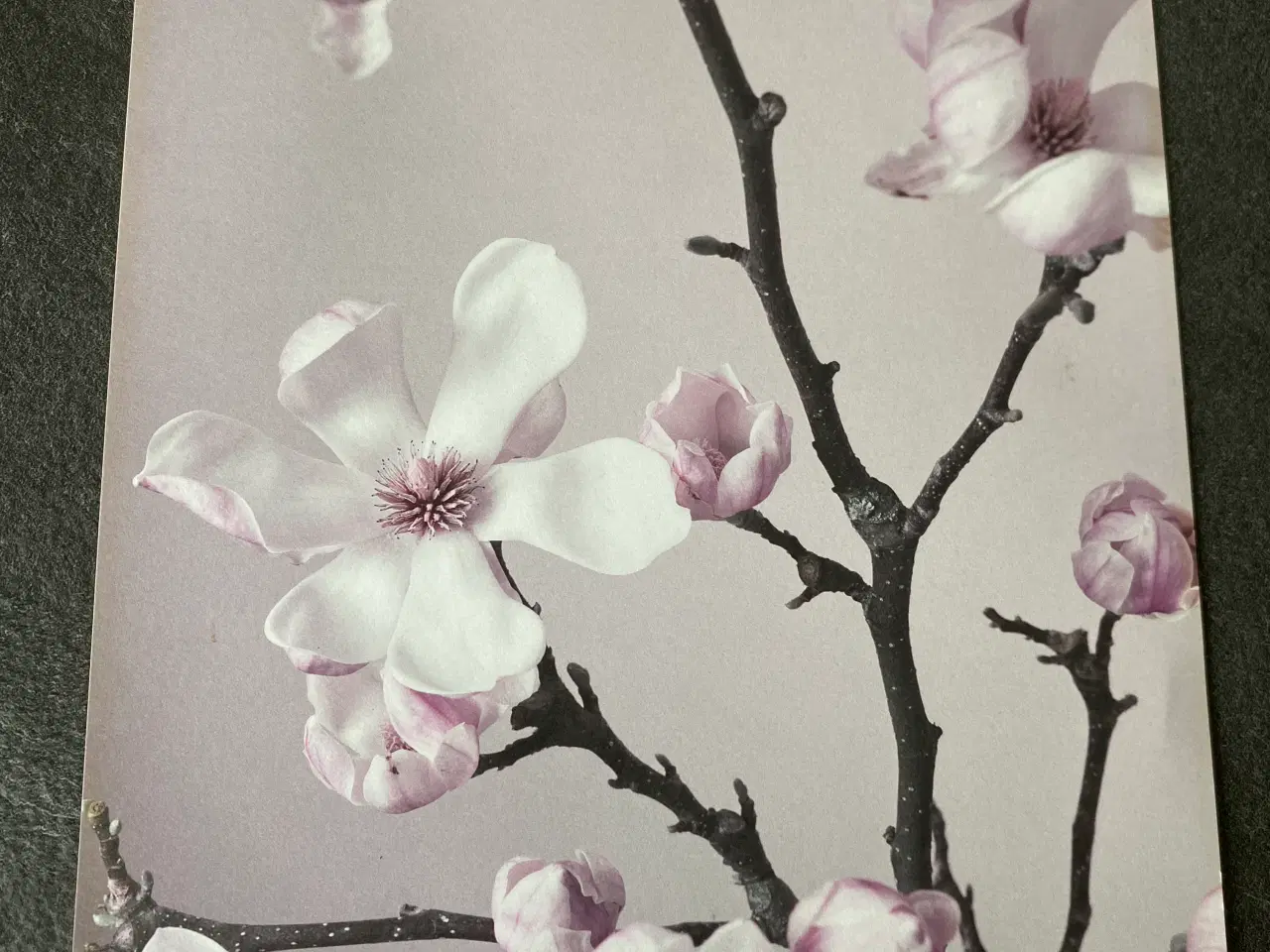 Billede 2 - Plakat med blomster 21x30