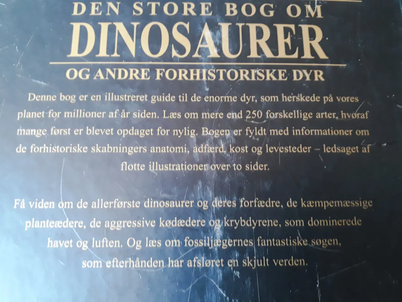 Billede 8 - 2 Dino Bøger, 6 Dinosaur
