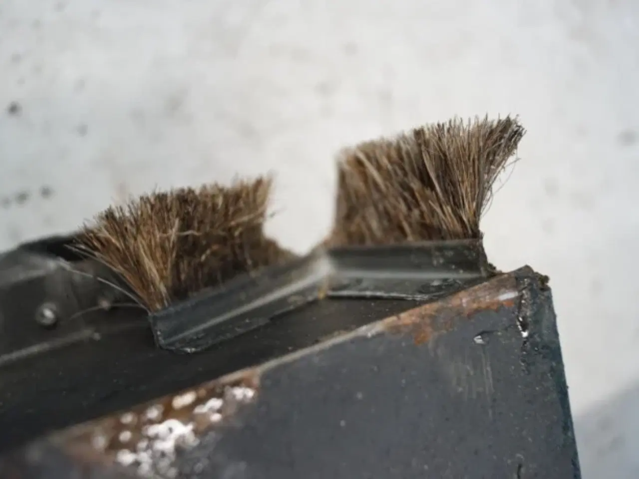 Billede 9 - Claas Lexion 550 Stenfælde