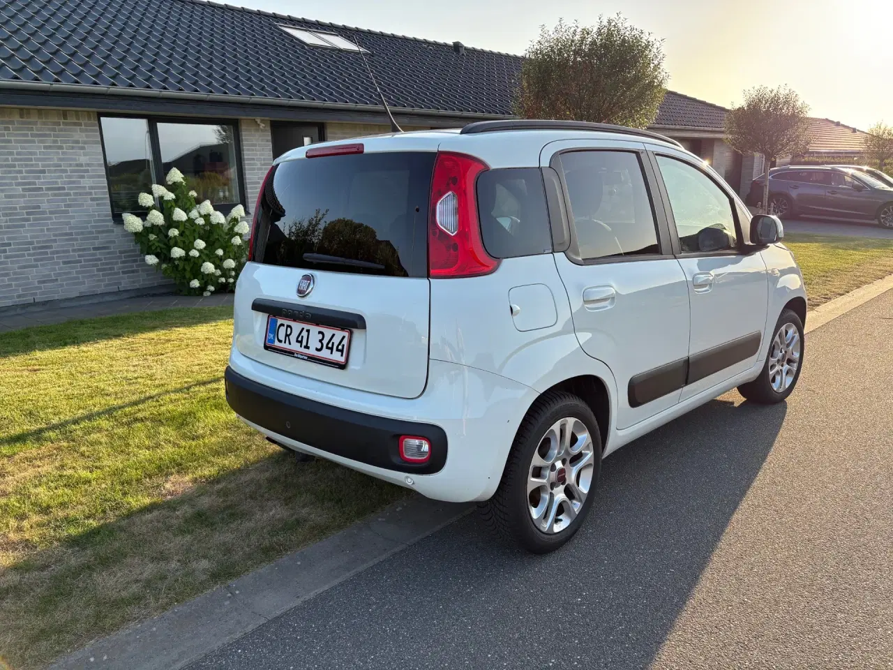 Billede 4 - Flot og velholdt bil med træk