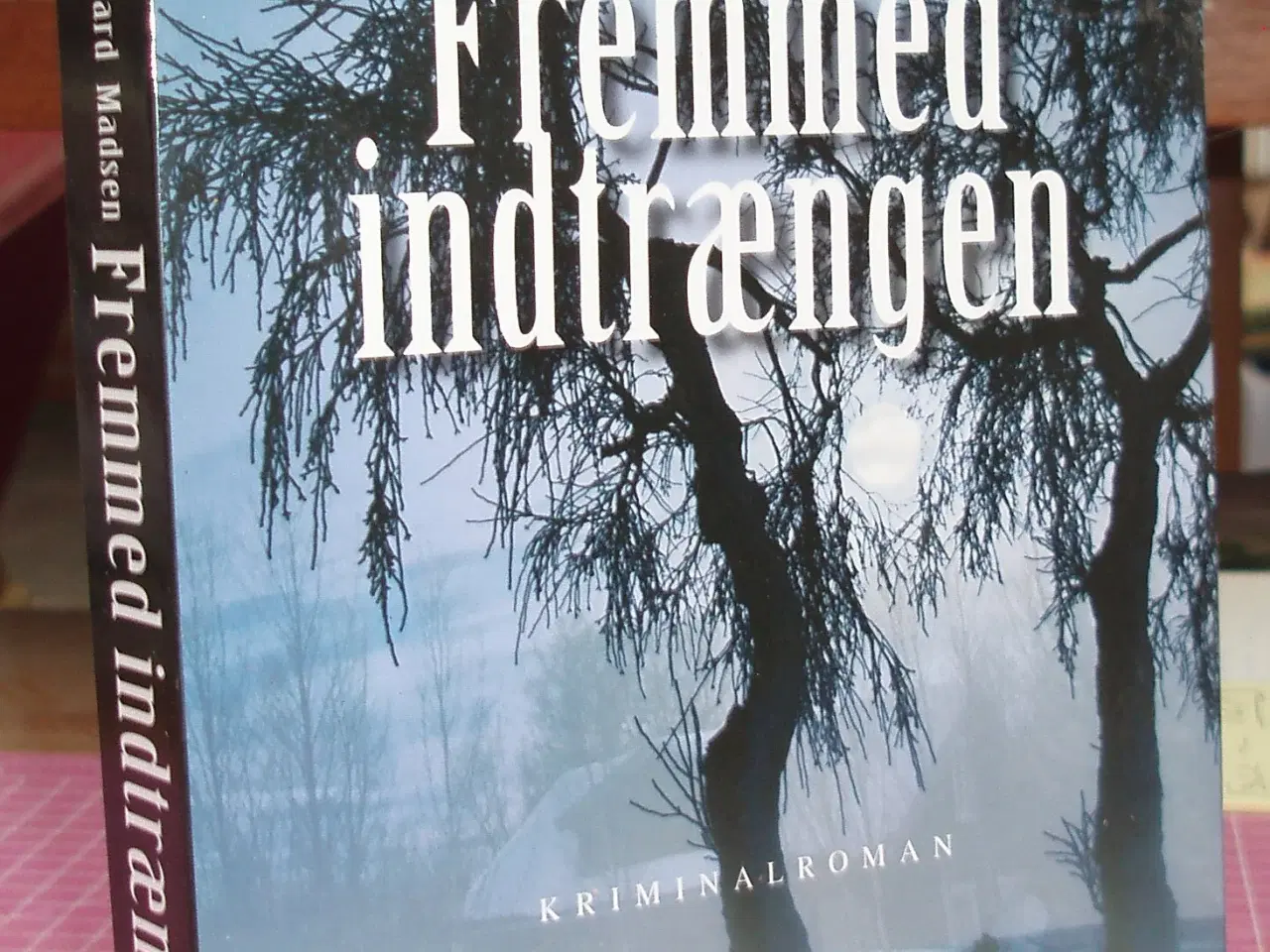 Billede 1 - Fremmed indtrængen af Inger Gammelgaard Madsen