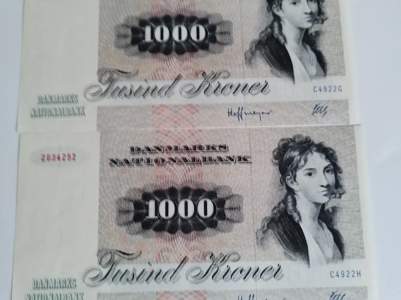Billede 4 - 1000 Kroner Egern 🐿️