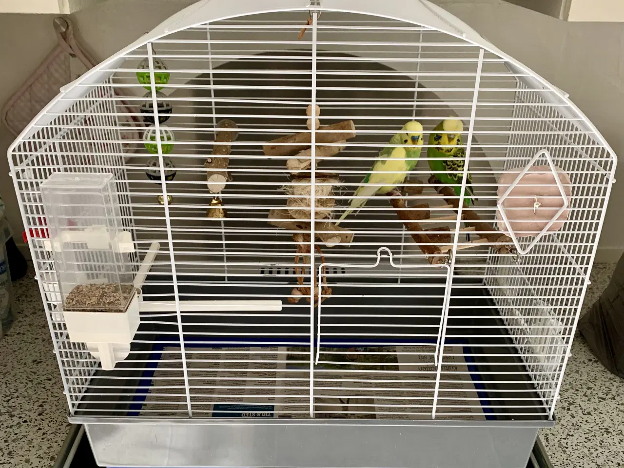 Billede 1 - Undulater Med Bur Og Tilbehør