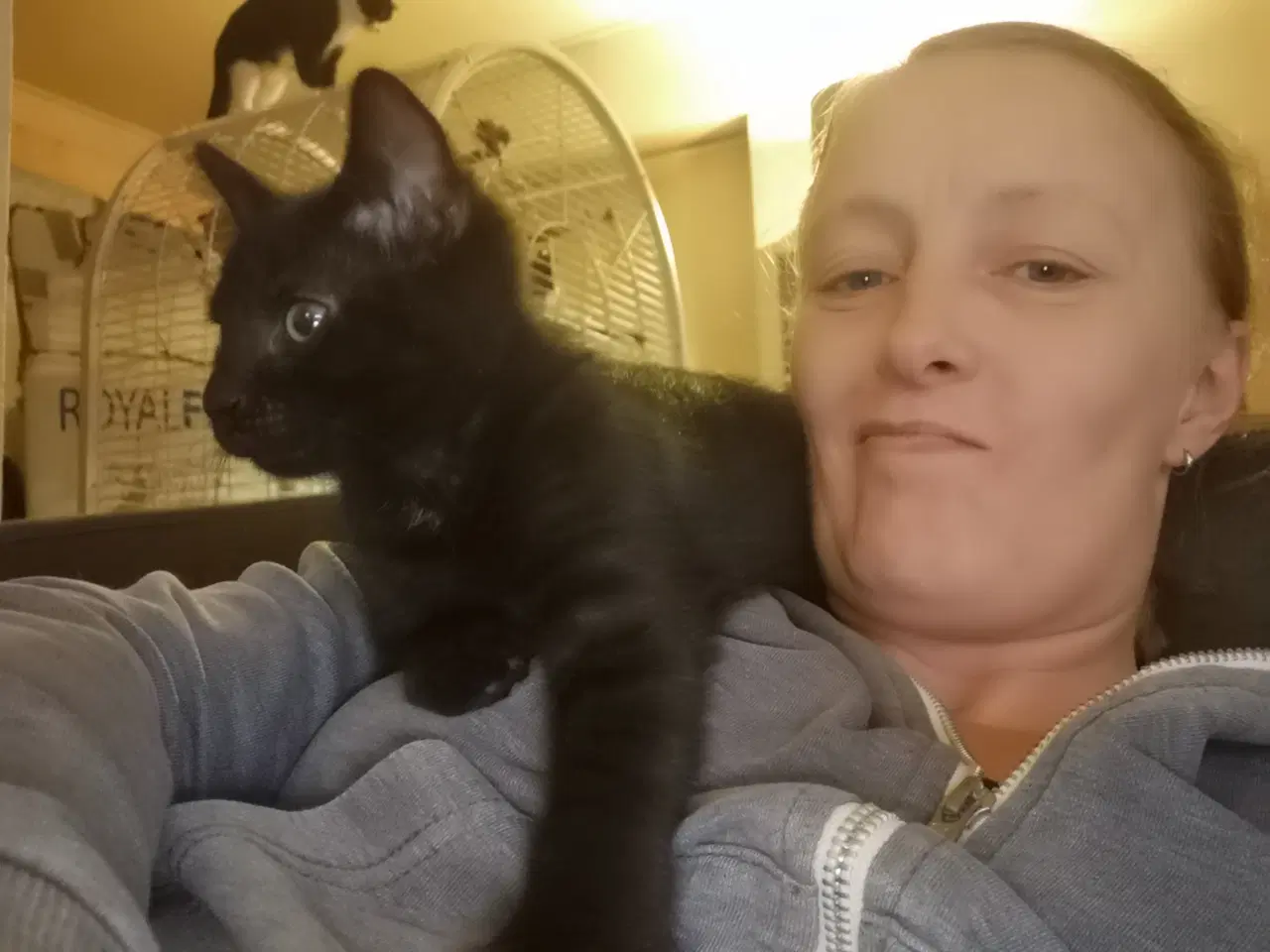 Billede 4 - 1dreng og 1pige tilbage. 