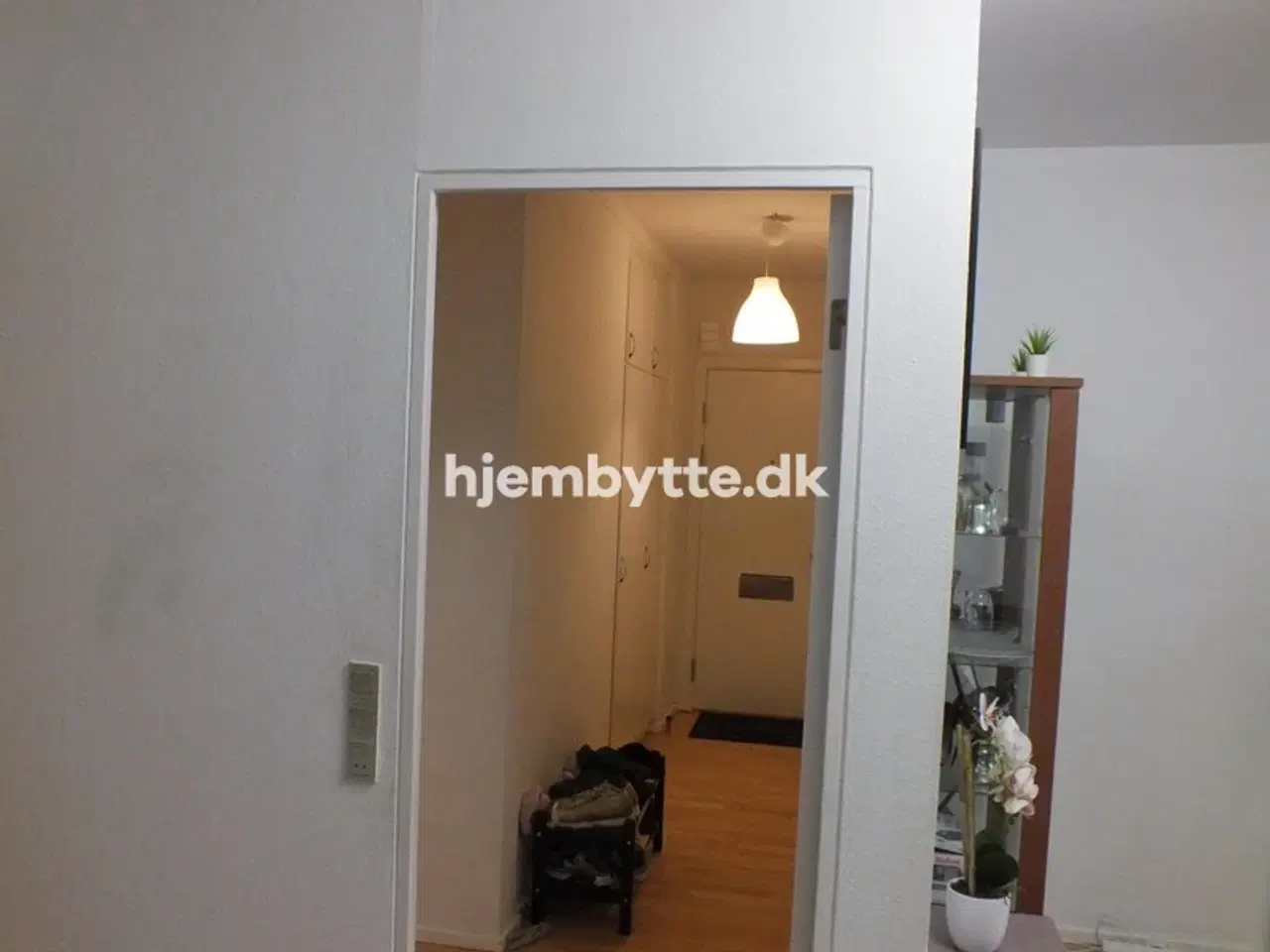 Billede 5 - Hjembytte - Fredskovhellet