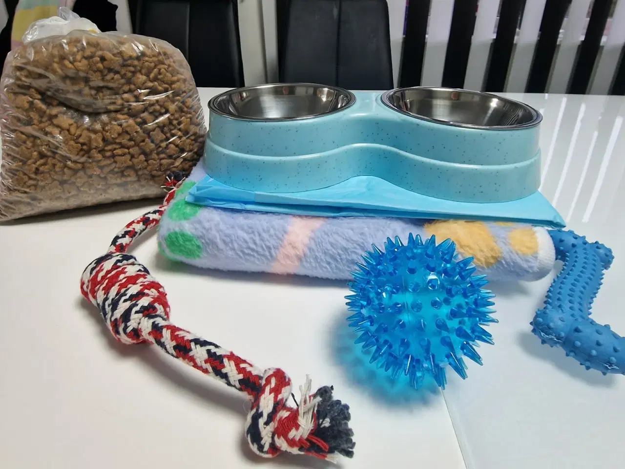 Billede 7 - Bichon havanaiser hvalpe med stamtavle 