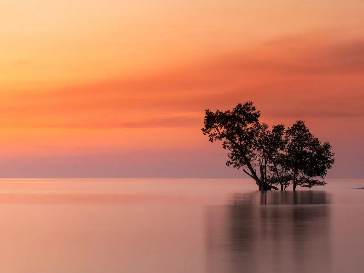 Billede 1 - æggebakker