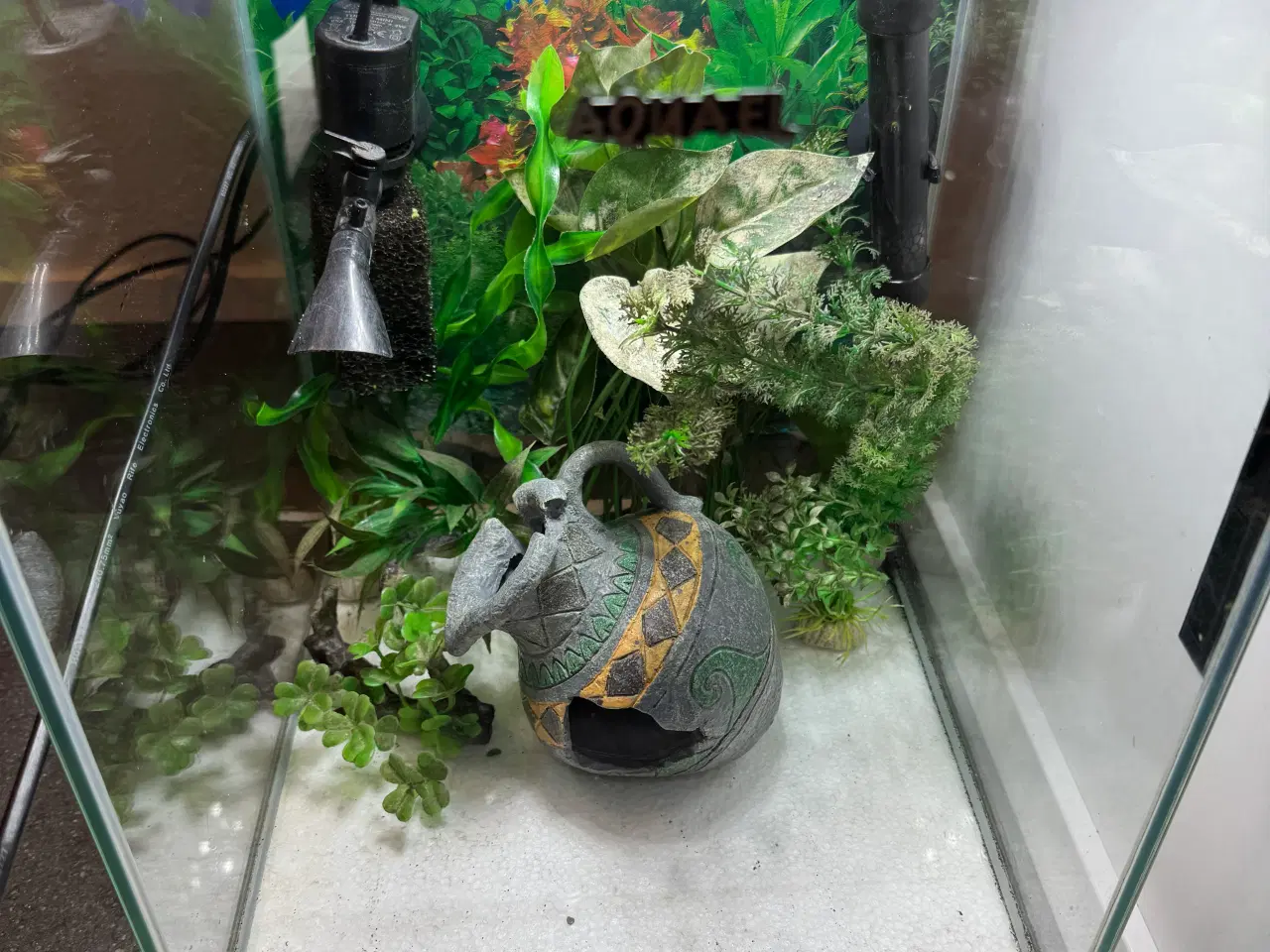 Billede 2 - Aquael 30 l akvarium