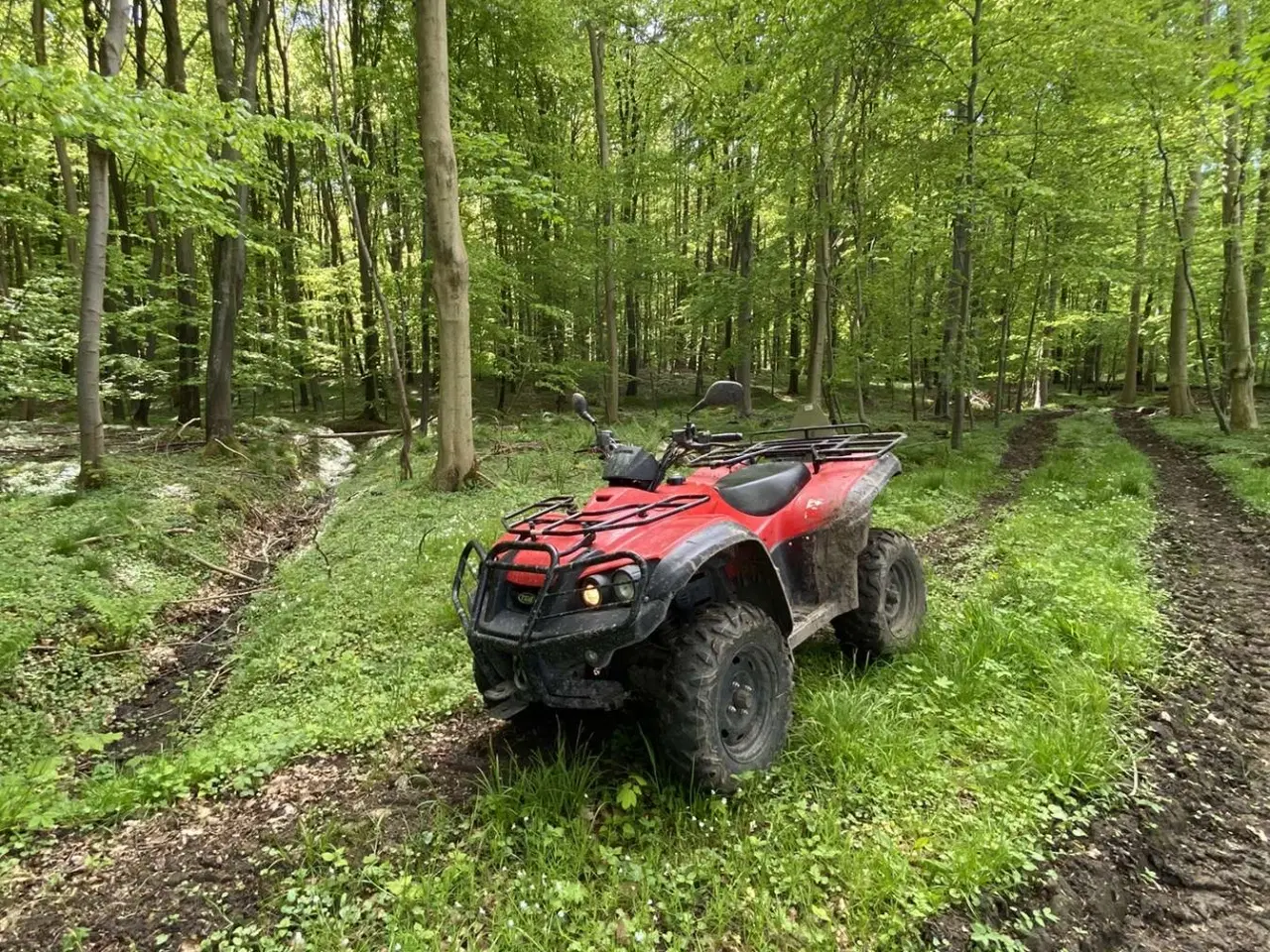 Billede 1 - Atv tgb 550cc med 4 hjulstræk