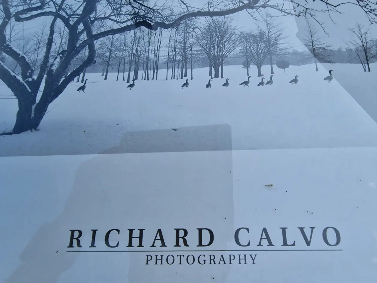 Billede 2 - RICHARD CALVO fotografiprint på papir 