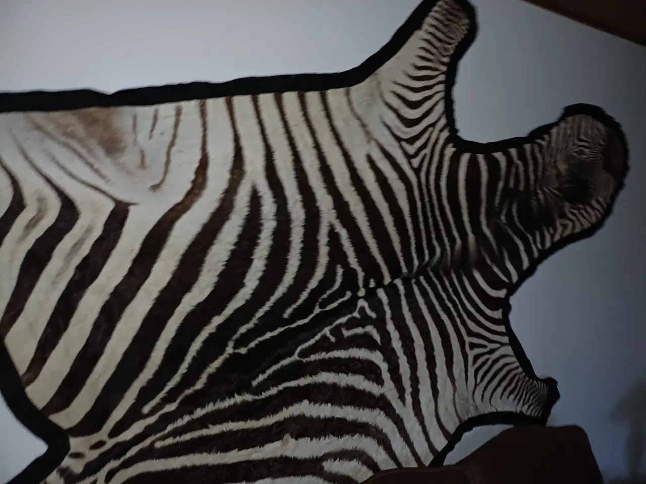 Billede 1 - Zebraskind, Crawshays zebra