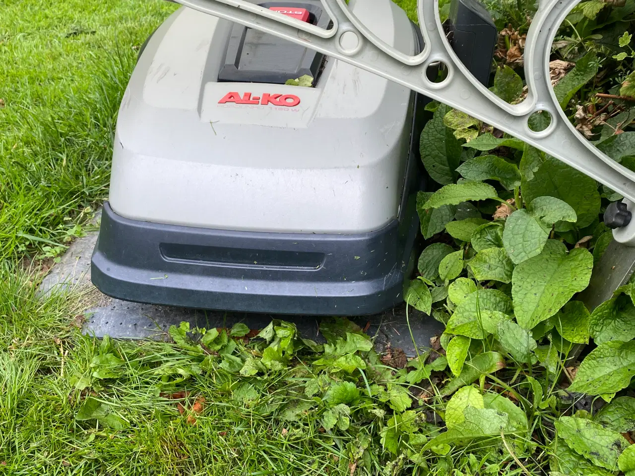 Billede 1 - Alko Robolinho 1150w robotplæneklipper