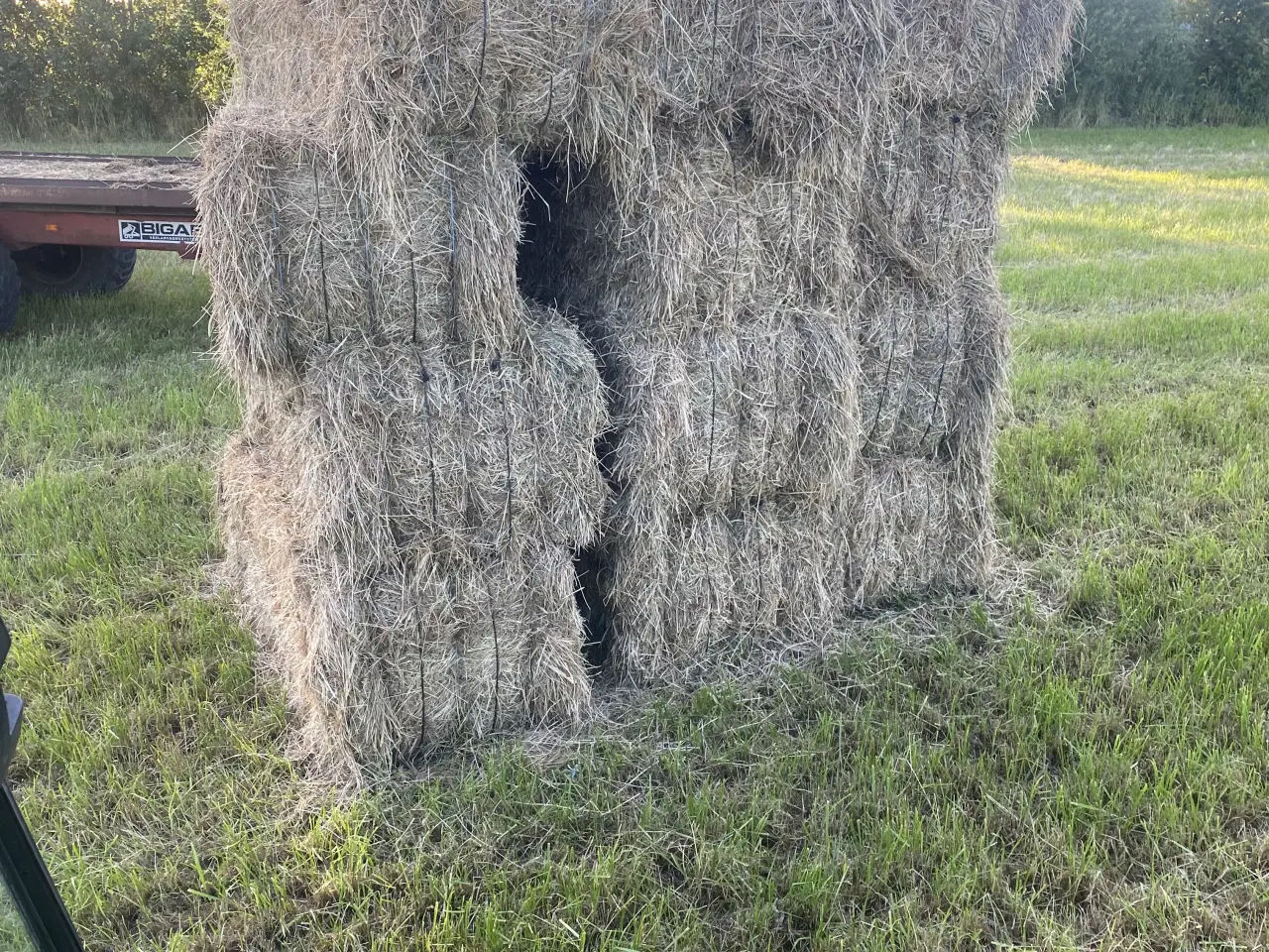 Billede 1 - 2025 Hø 200kg Delbar i 4stk