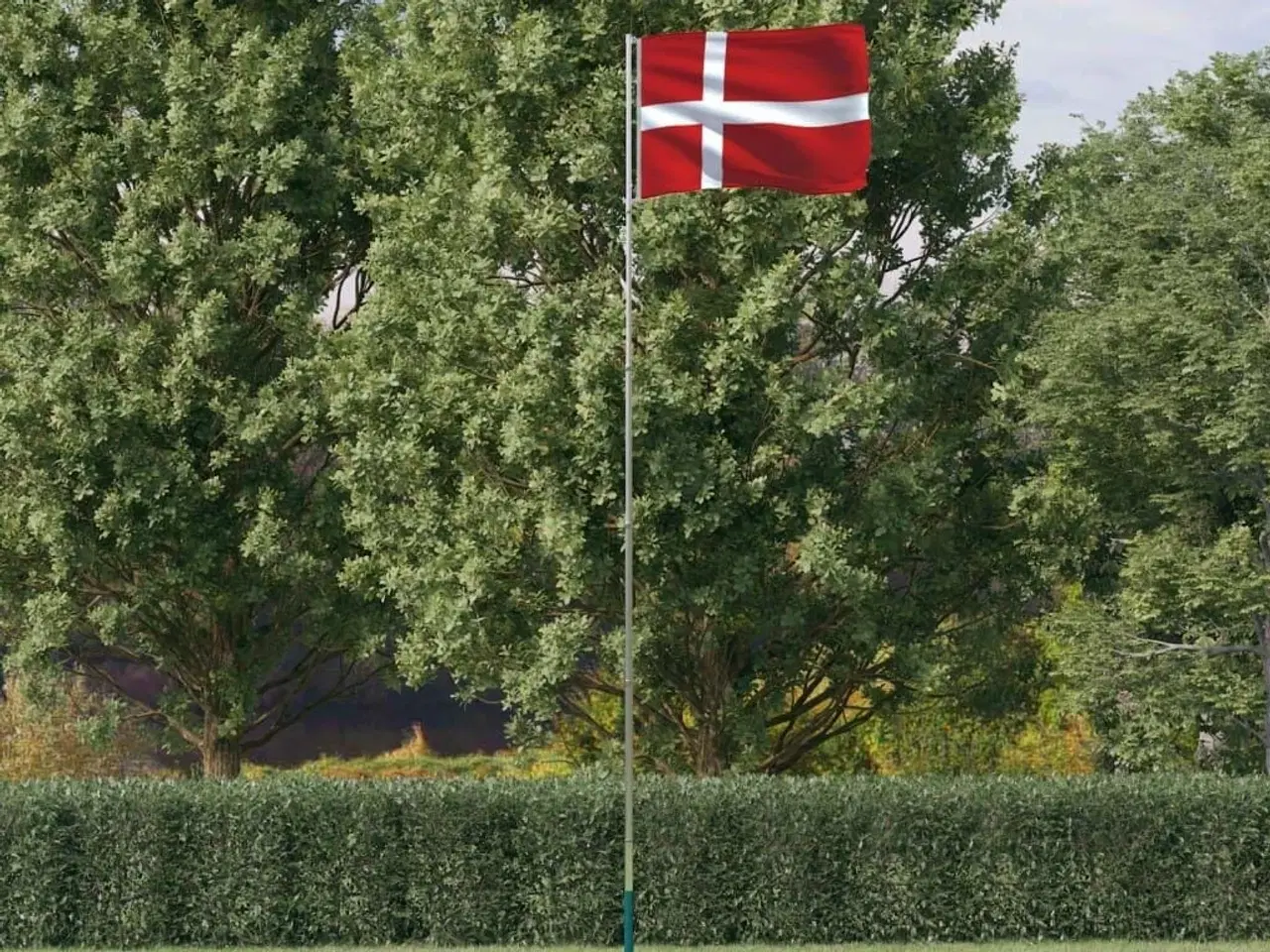 Billede 1 - Danmark flag og flagstang 5,55 m aluminium