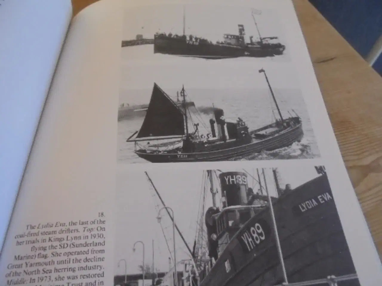 Billede 6 - Sunderland Marine Mutual Insurance  