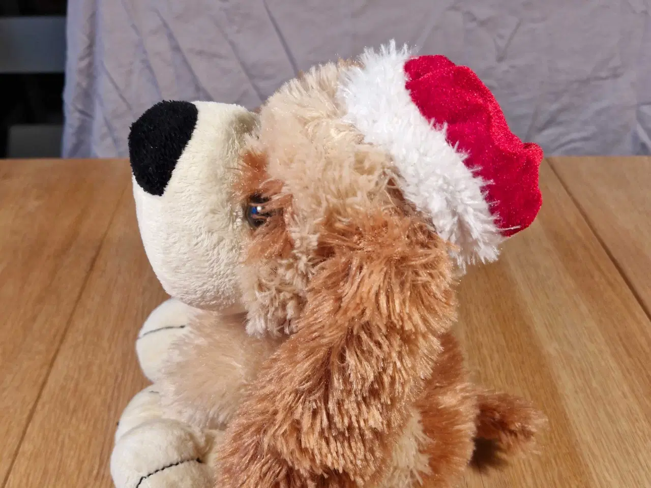 Billede 2 - Syngende hund