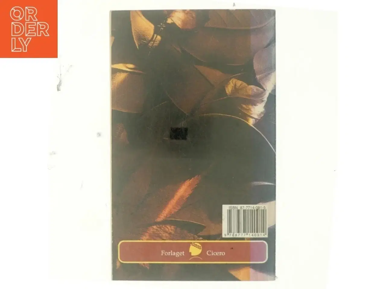 Billede 3 - September af Rosamunde Pilcher (Bog)