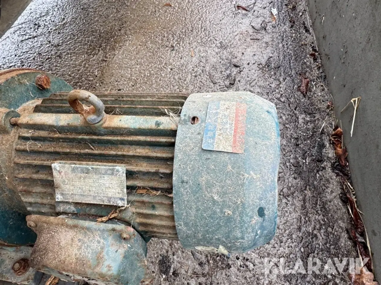 Billede 12 - Afbarger Shandong Woodbebaker