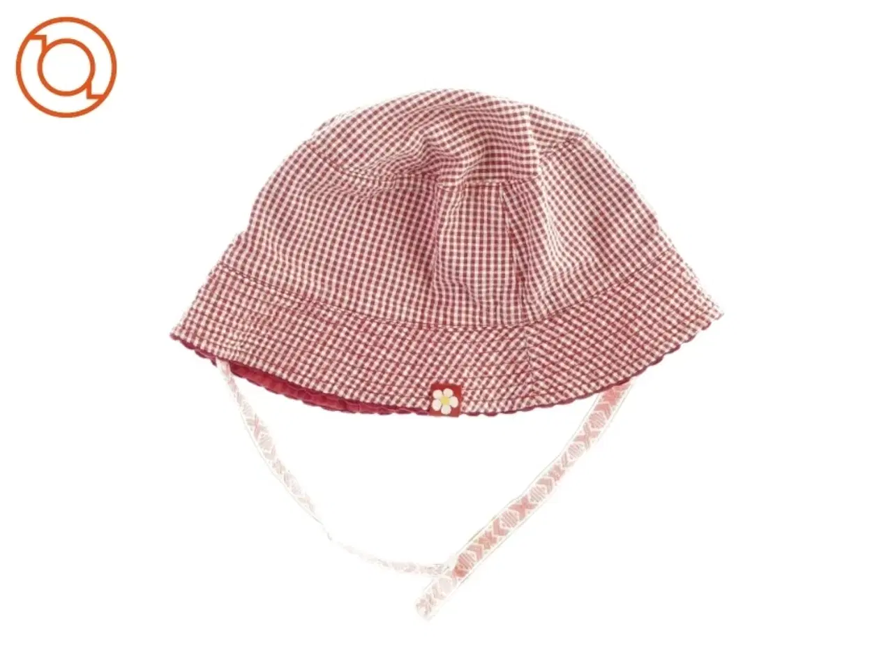 Billede 1 - Solhat med snørre (str. ca. et år)