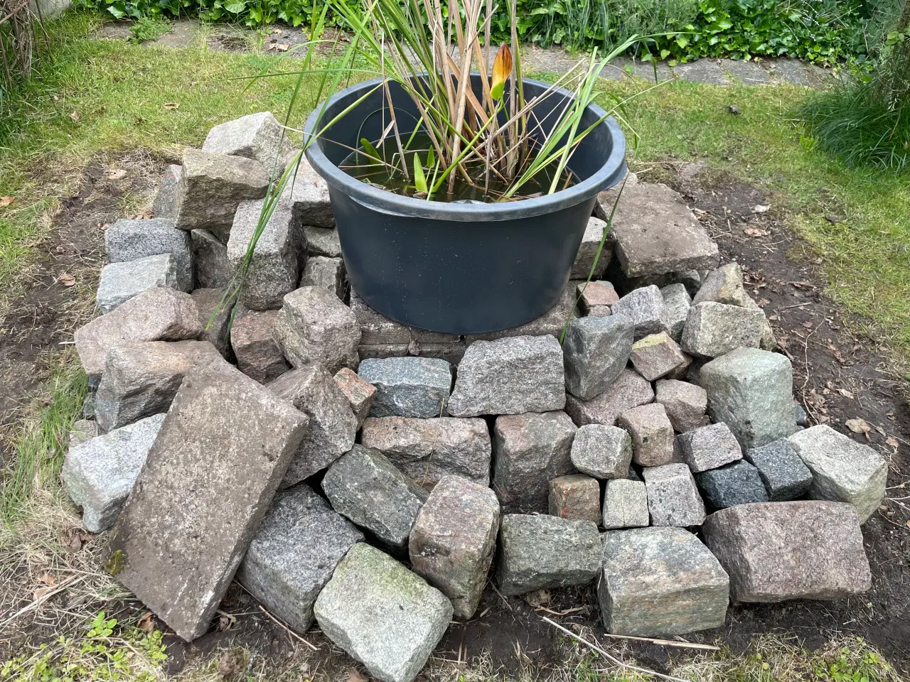 Billede 1 - Granit brosten og chaussesten ca 90 stk