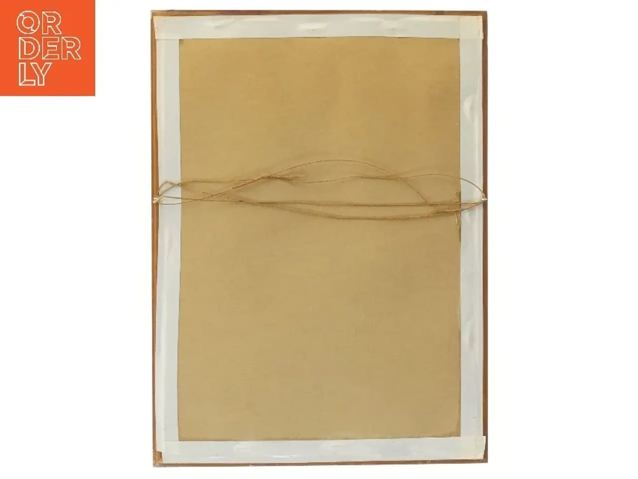 Billede 2 - Billede af tukaner i ramme (str. 39x29 cm)