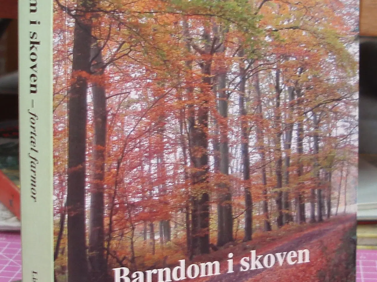 Billede 1 - Barndom i skoven -fortæl farmor