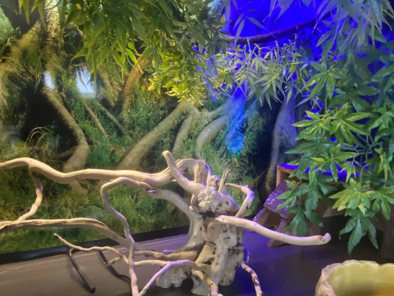 Billede 5 - Plug & play terrarie