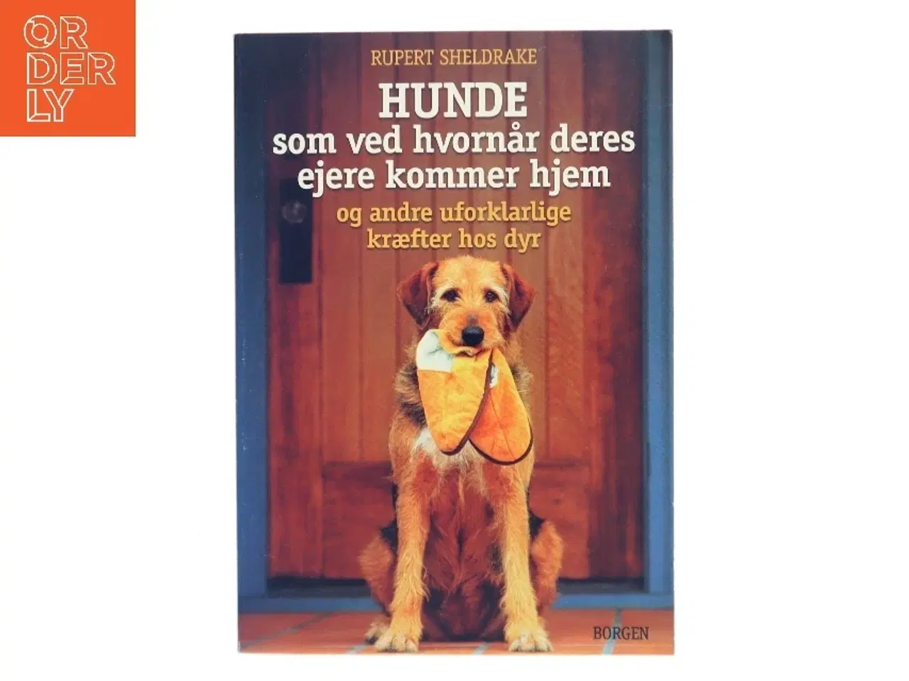 Billede 1 - Hunde som ved hvornår deres ejere kommer hjem af Rupert Sheldrake (Bog)