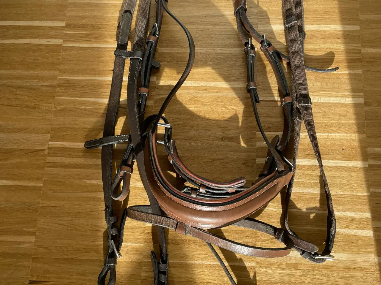 Billede 1 - Classic hovedtøj brun str full