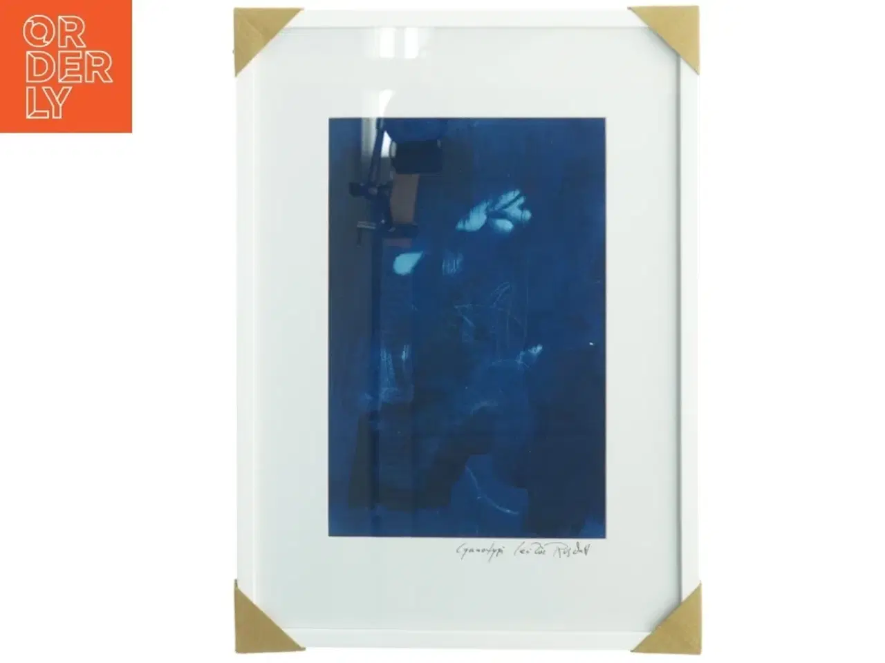 Billede 7 - Indrammet kunsttryk (str. 43,5 x 31,5 cm)