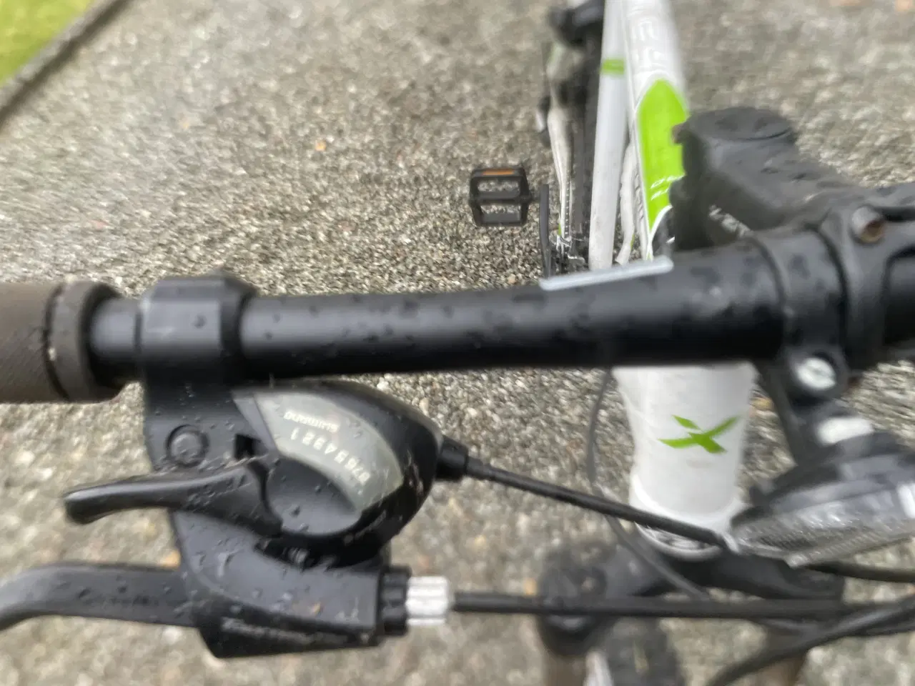 Billede 3 - Cykler kildmoes