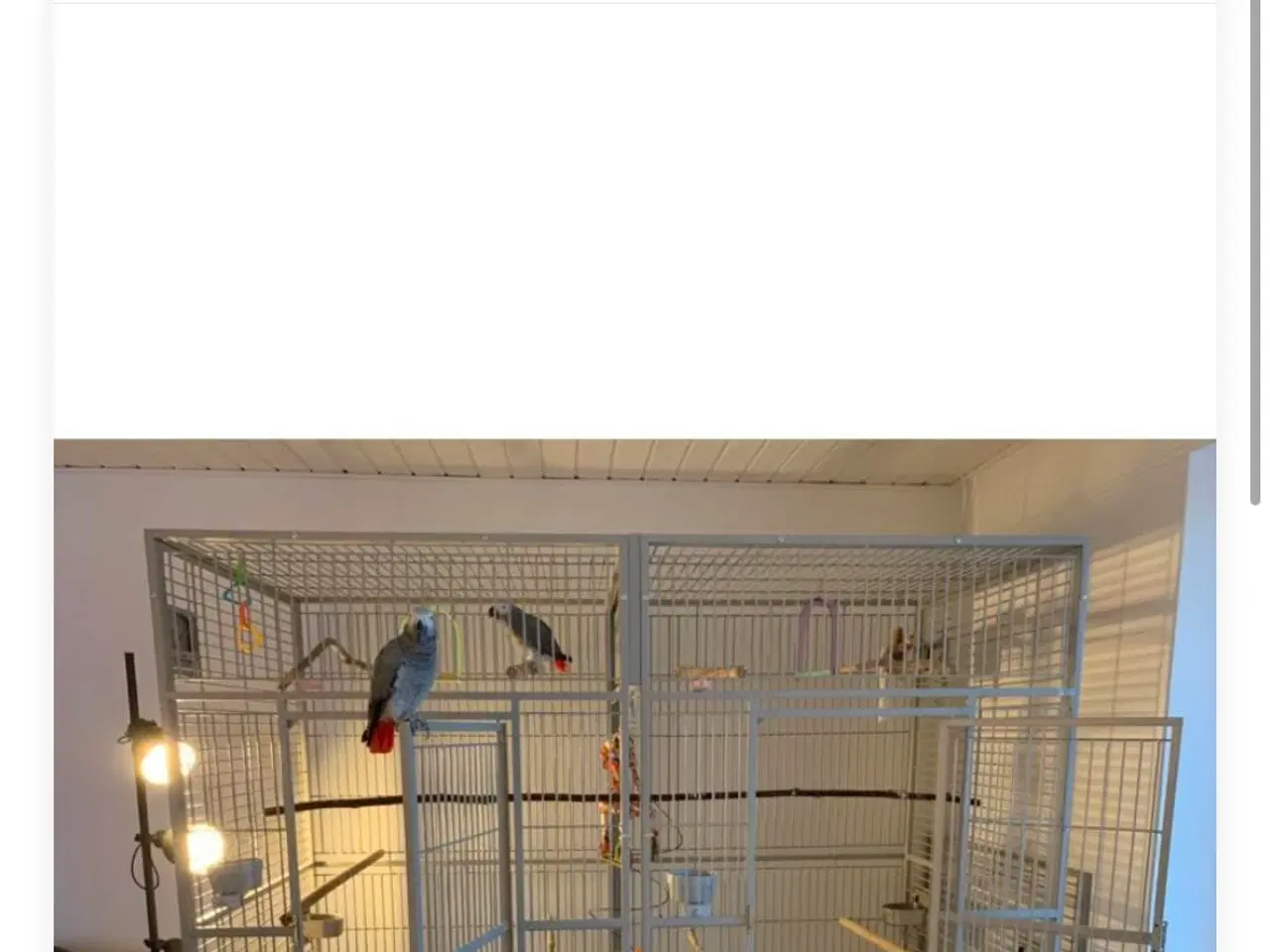 Billede 1 - Dobbelt papegøjebur