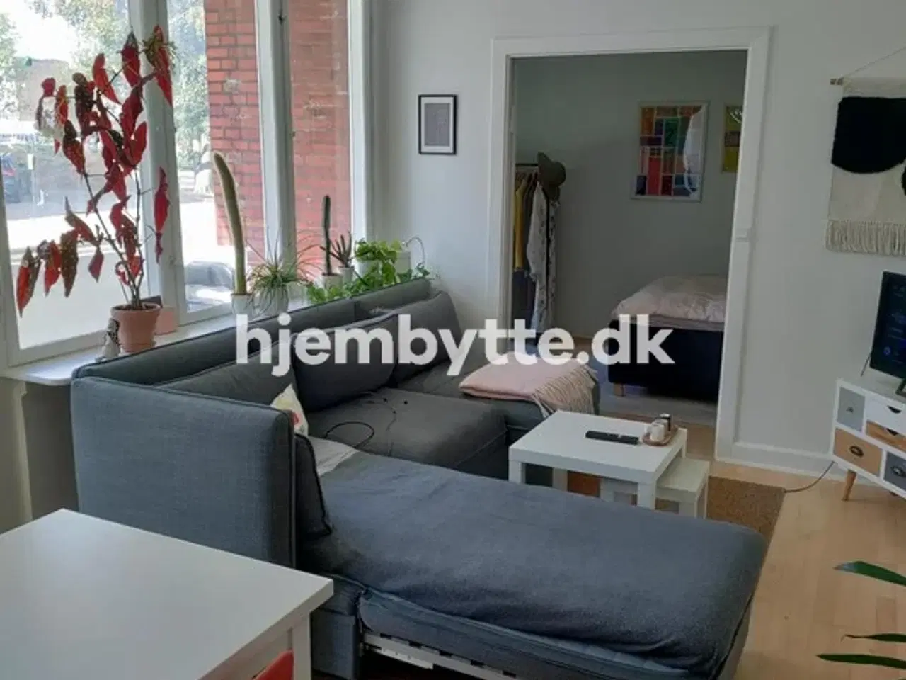 Billede 2 - Hjembytte - Ringstedvej