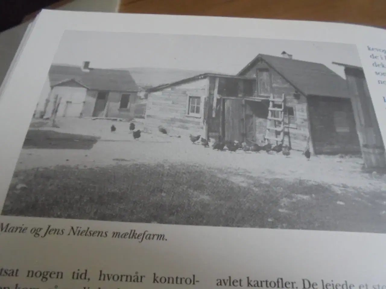 Billede 7 - Vore rødder 3 – Lokalhistorie fra Sindal  