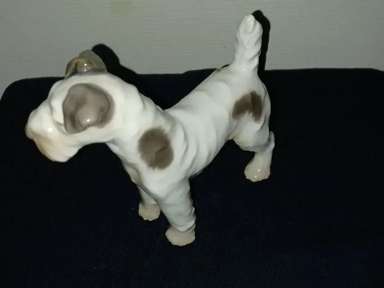 Billede 3 - B&G hund Ruhårret Foxterrier 1998