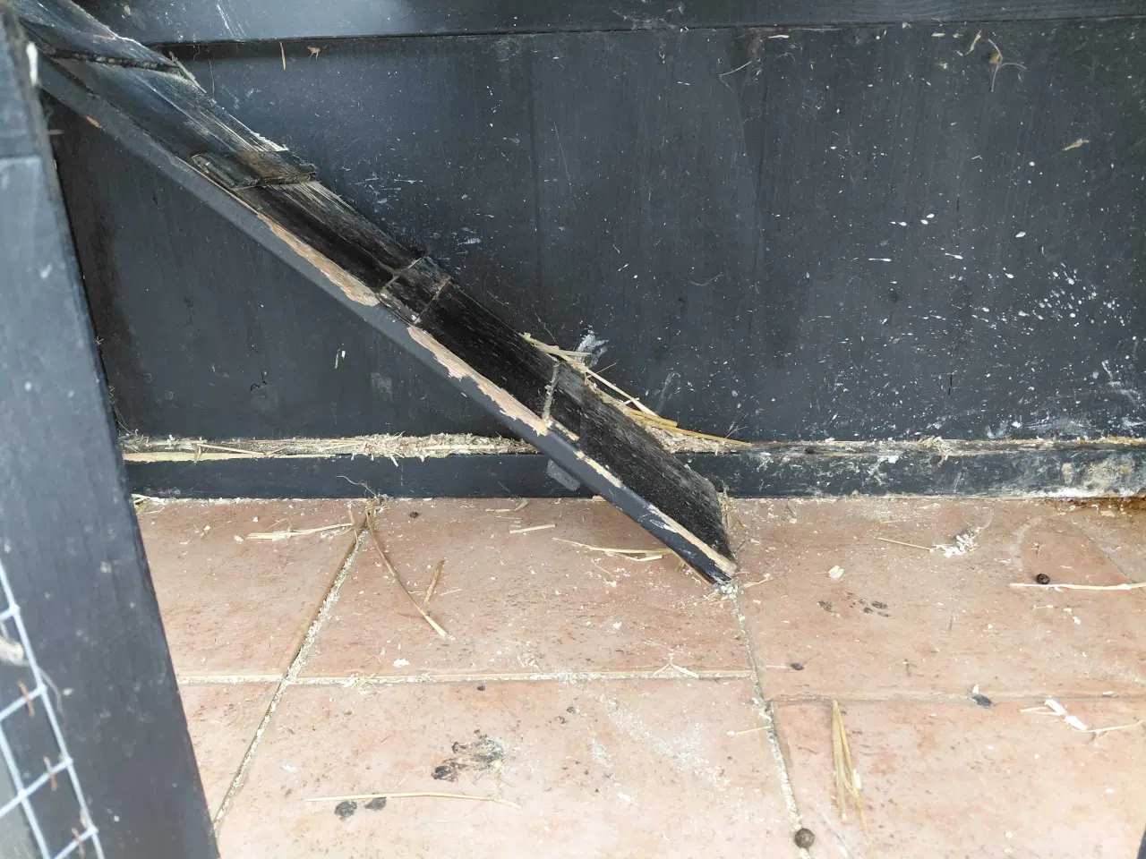 Billede 3 - Kaninbur 