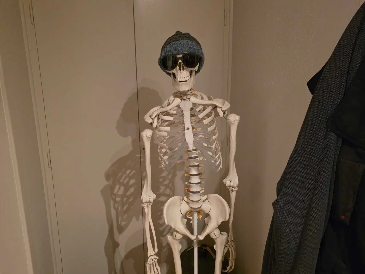 Billede 1 - Udstilling/undervisnings skellet 