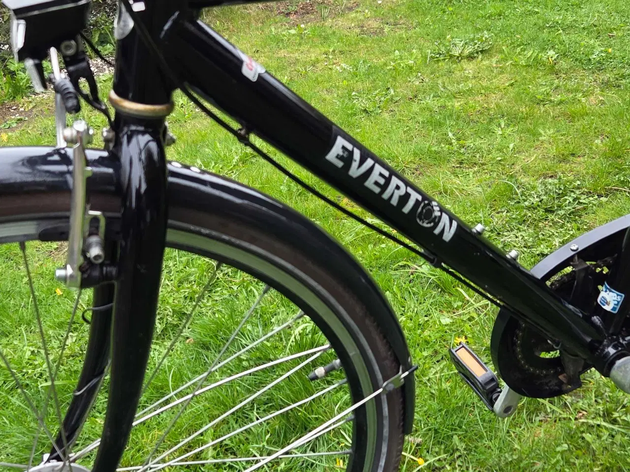 Billede 13 - EVERTON 53 cm 