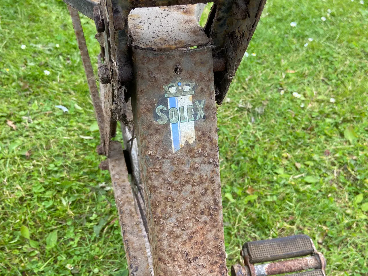 Billede 5 - Velo Solex 3800