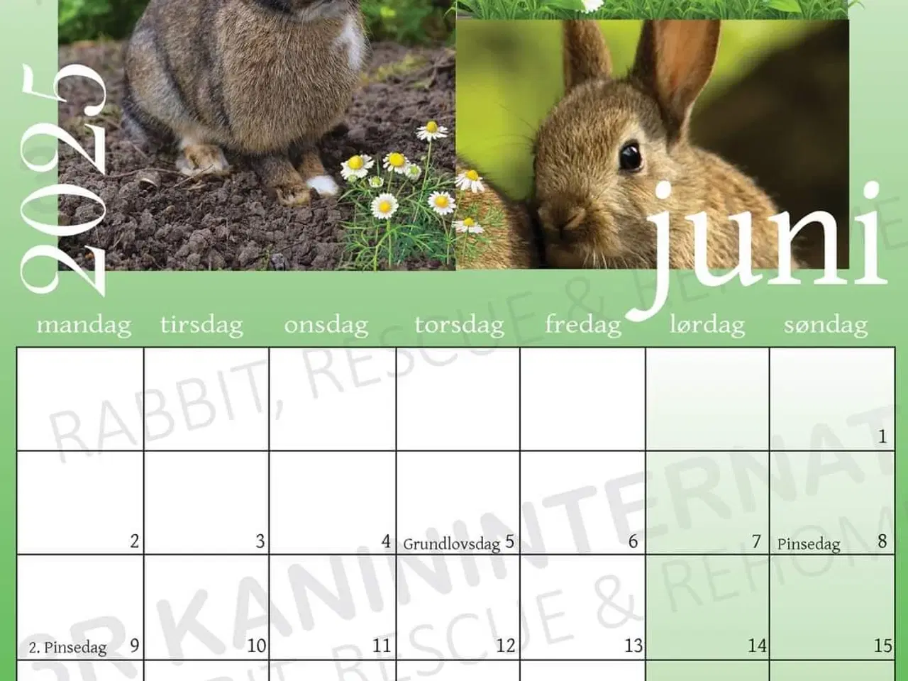 Billede 3 - Kalender 