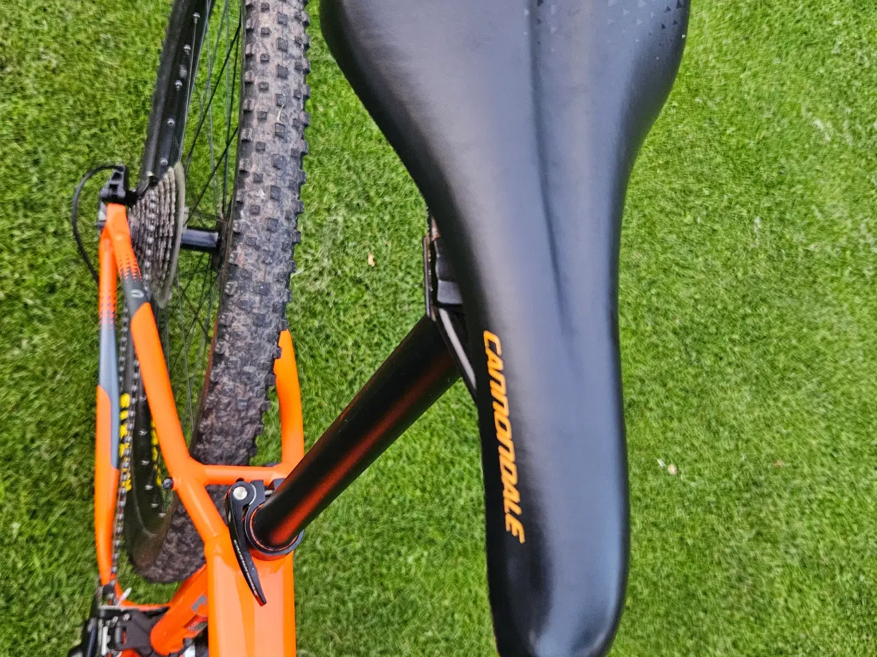 Billede 11 - Canondale Mountainbike Tri 3