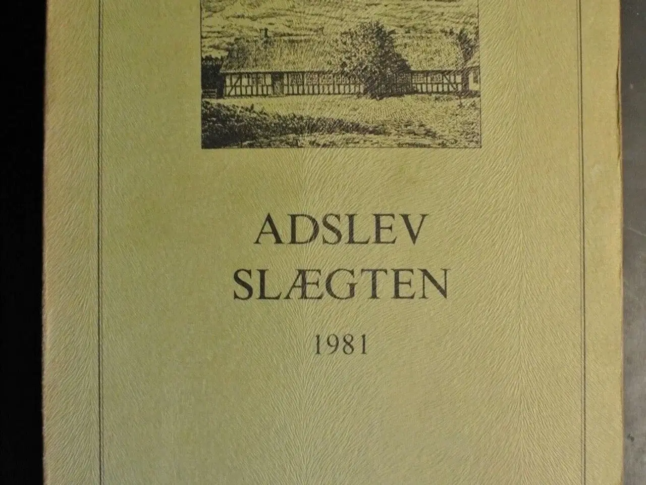 Billede 1 - adslev-slægten 1981 - slægtsbog for efterkommere a