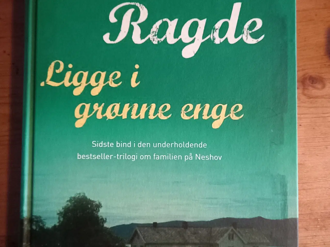 Billede 4 - Anne B Ragde  - bøger