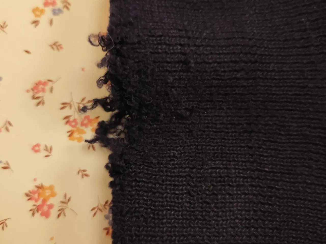 Billede 11 - Canadian goose expedition 