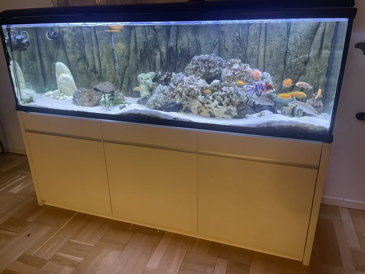 Billede 2 - 720 liter med skab og fisk